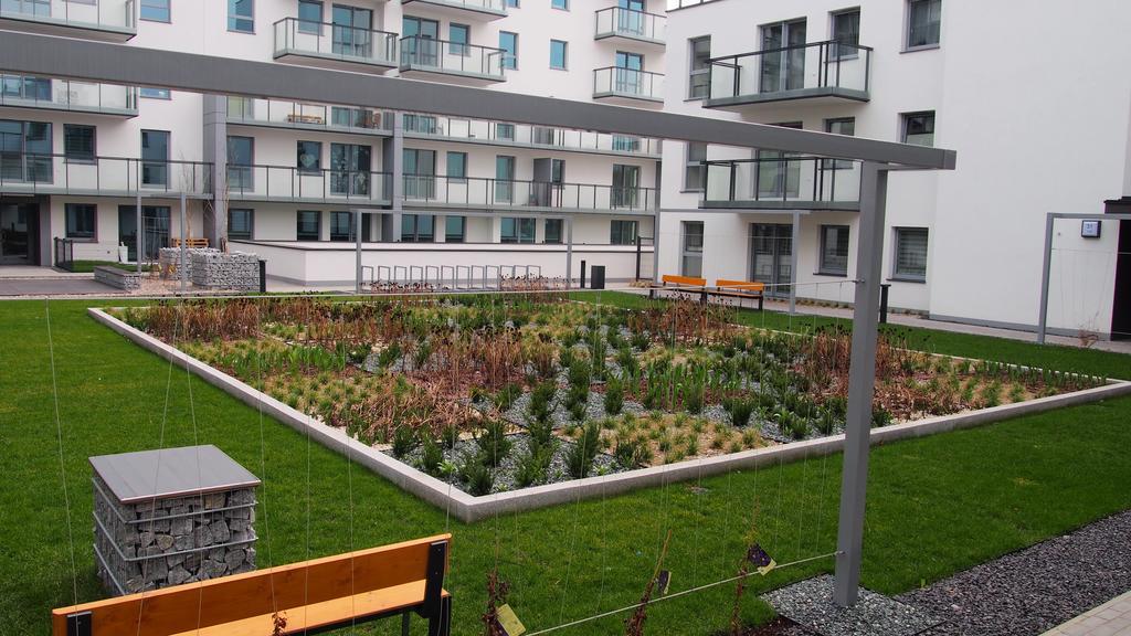 Svoboda Apartament 格但斯克 外观 照片